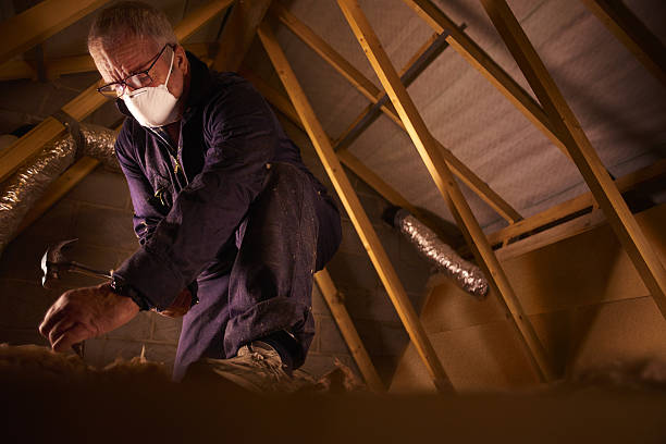 Best Specialty Insulation in Terrell, TX